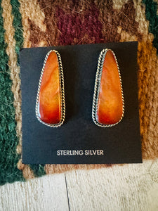 Navajo Jasper Sterling Silver Post Earrings Signed