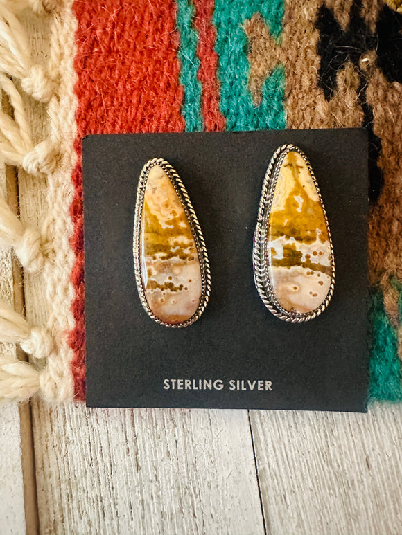 Navajo Jasper Sterling Silver Post Earrings Signed