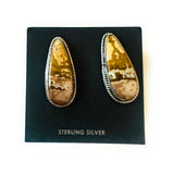 Navajo Jasper Sterling Silver Post Earrings Signed