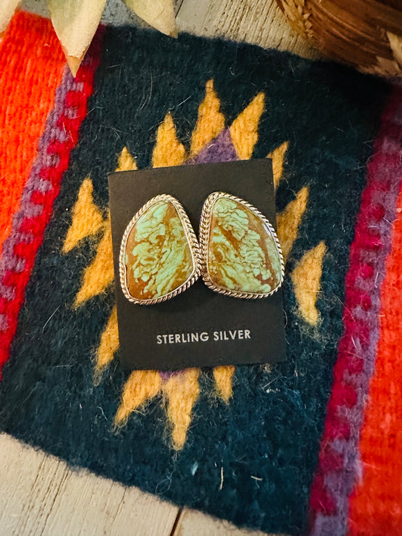 Navajo Variscite and Sterling Silver Post Earrings