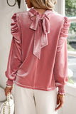 Tie Up Mock Neck Velvet Fabric Long Sleeve Blouse