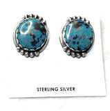 Navajo Sterling Silver & Turquoise Post Earrings